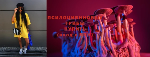 гашик Зеленокумск