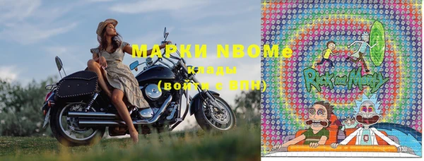 гашик Зеленокумск