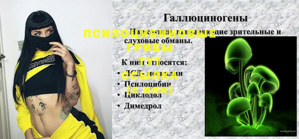 гашик Зеленокумск