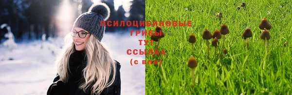 МДПВ Зерноград
