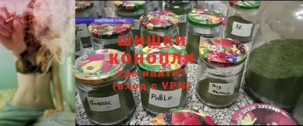 гашик Зеленокумск