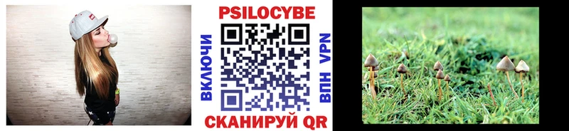 Купить закладки  Зверево  Псилоцибиновые грибы Psilocybine cubensis 